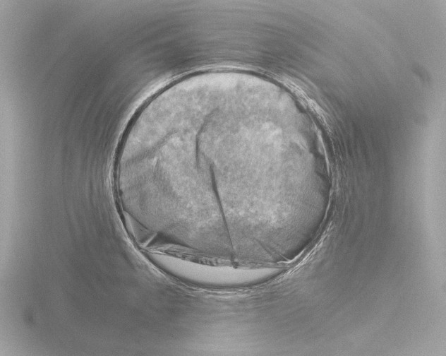 X0000116141189200912211442