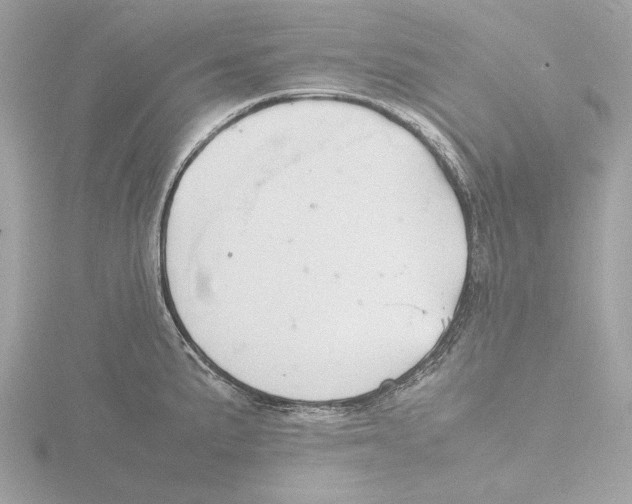 X0000116141191200912211442