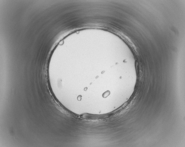 X0000116141192200912211442