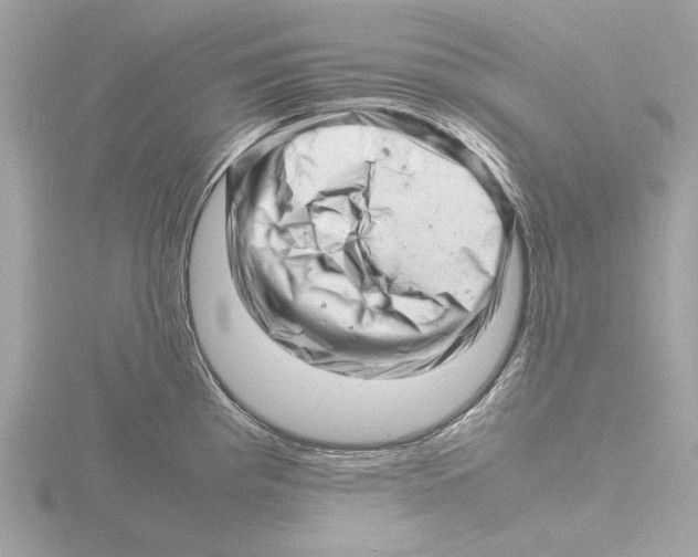 X0000116141193200912211442