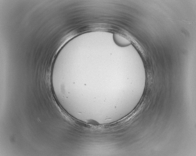 X0000116141194200912211442