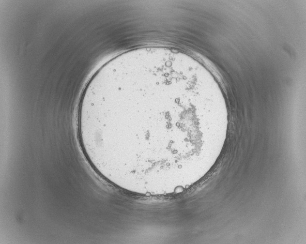 X0000116141195200912211442