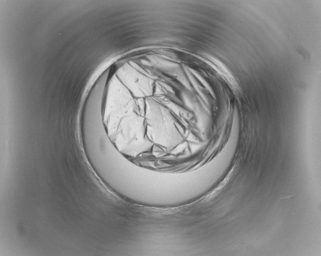 X0000116141196200912211442