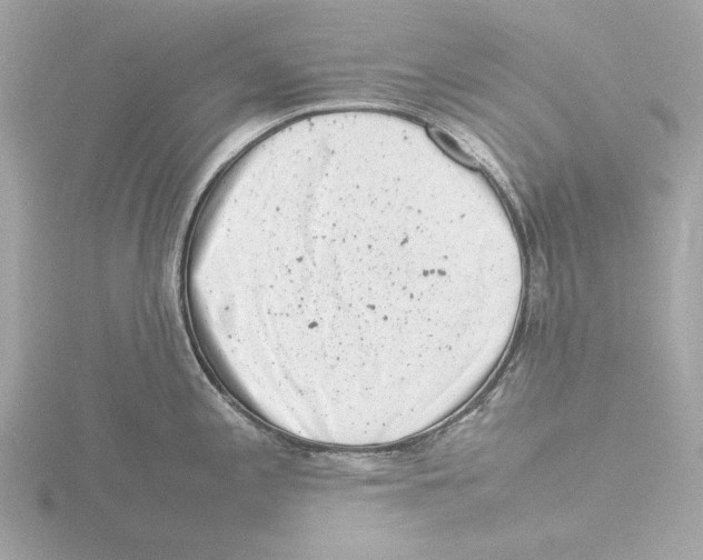 X0000116141197200912211442