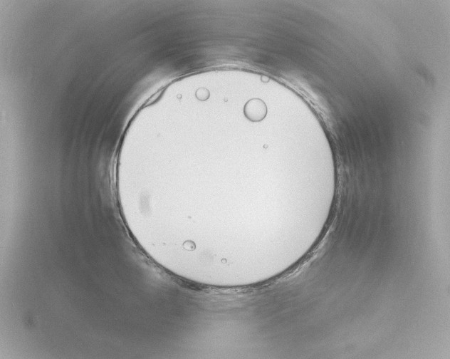 X0000116141198200912211442