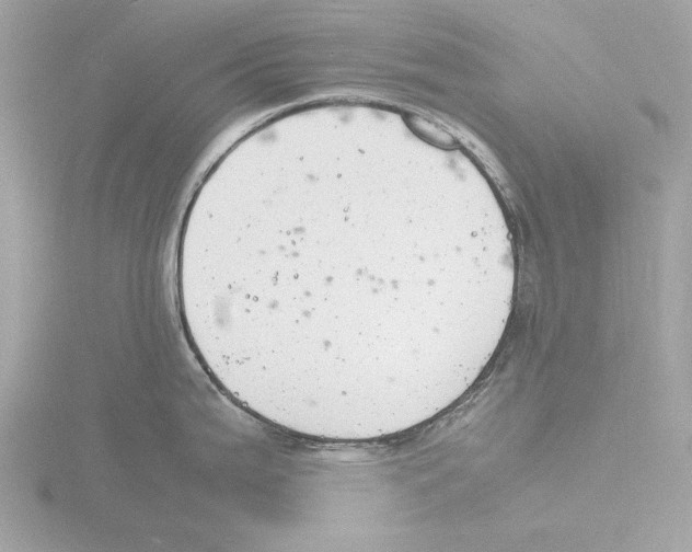 X0000116141199200912211442