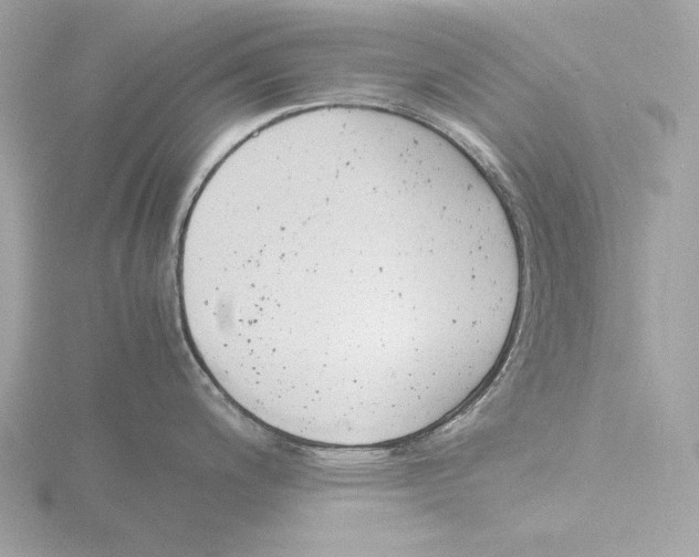 X0000116141200200912211442