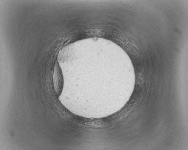 X0000116141201200912211442