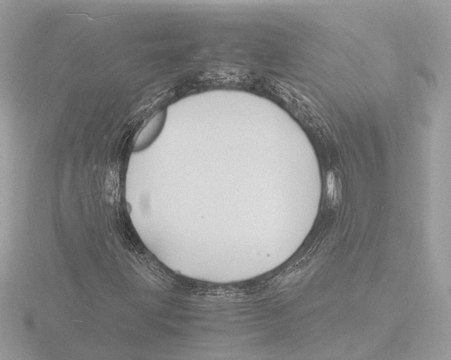 X0000116141203200912211442