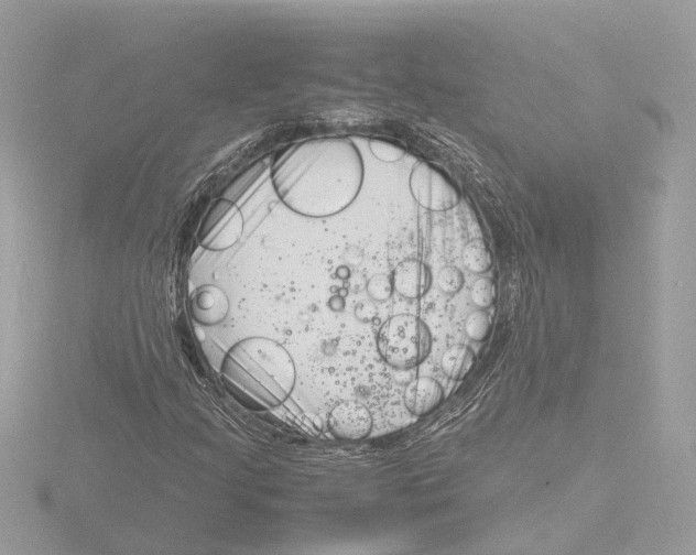 X0000116141205200912211442