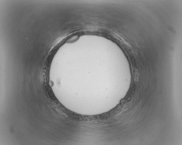 X0000116141208200912211442