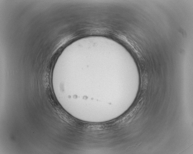 X0000116141211200912211442