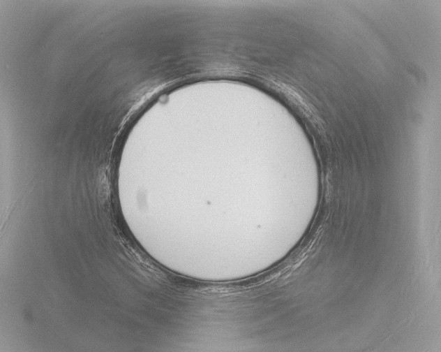 X0000116141212200912211442