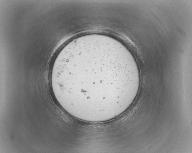 X0000116141216200912211442