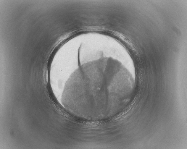 X0000116141221200912211442