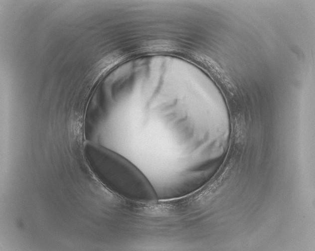 X0000116141225200912211442