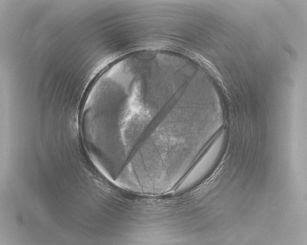 X0000116141226200912211442