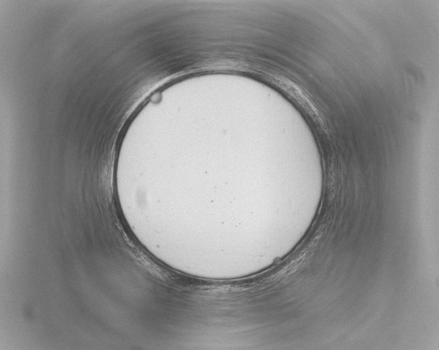 X0000116141228200912211442