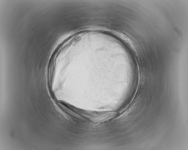 X0000116141231200912211442