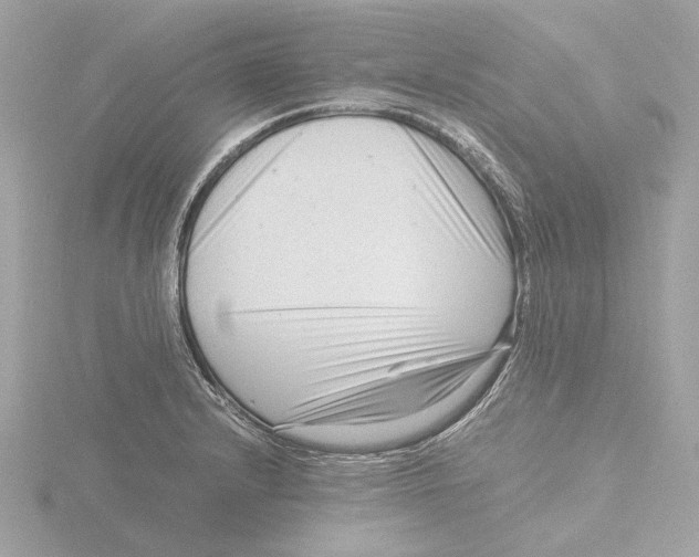 X0000116141232200912211442