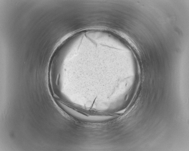 X0000116141237200912211442