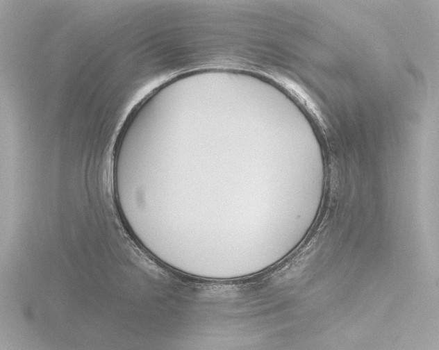 X0000116141238200912211442