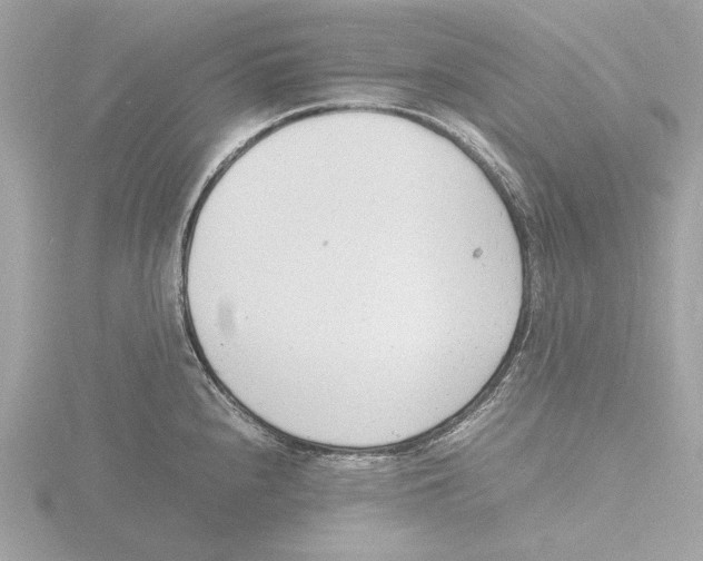 X0000116141240200912211442