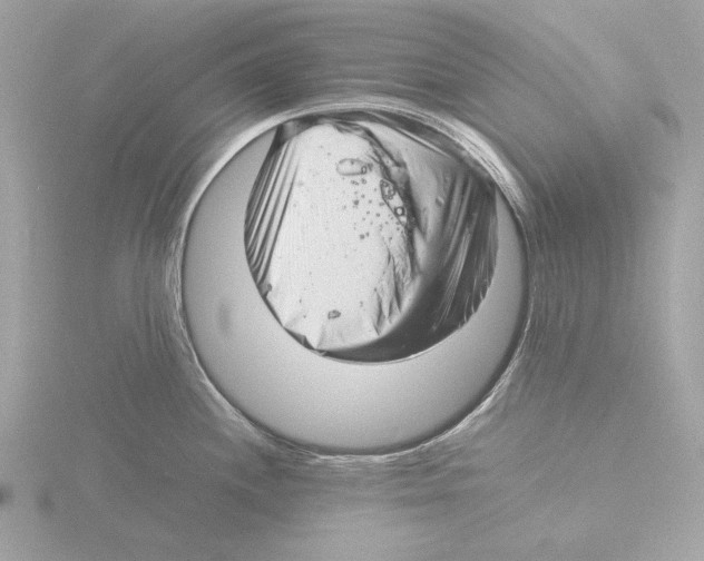 X0000116141244200912211442