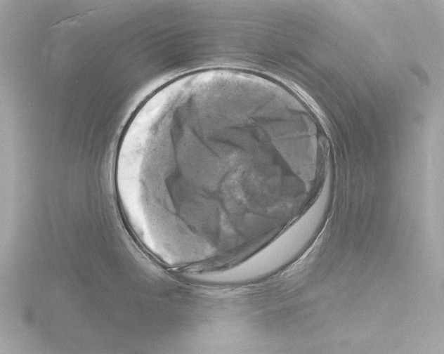 X0000116141246200912211442