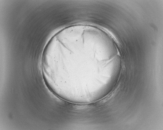 X0000116141247200912211442