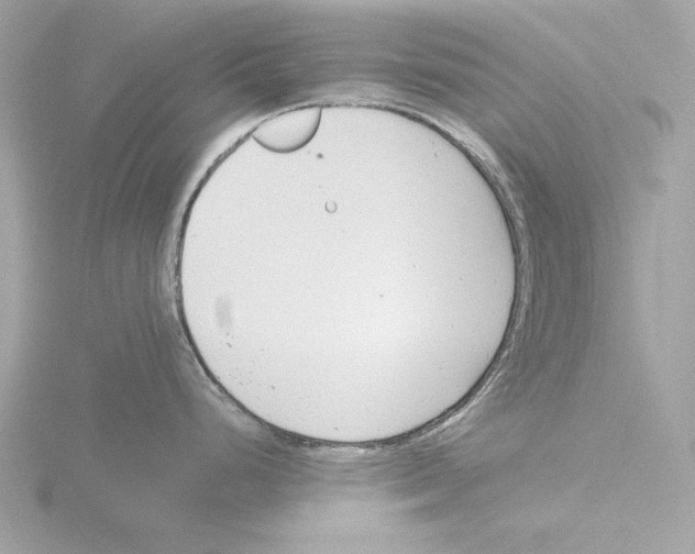 X0000116141248200912211442