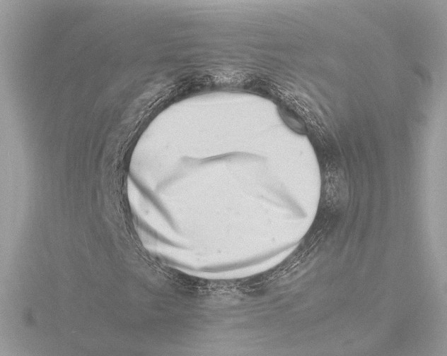 X0000116141249200912211442