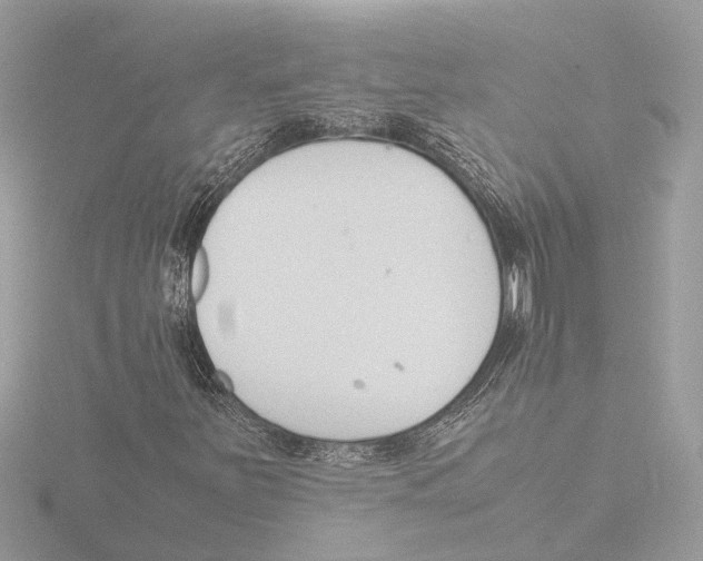 X0000116141251200912211441