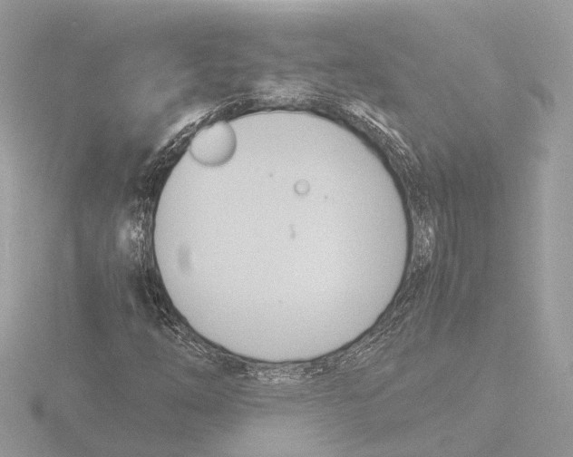 X0000116141254200912211441