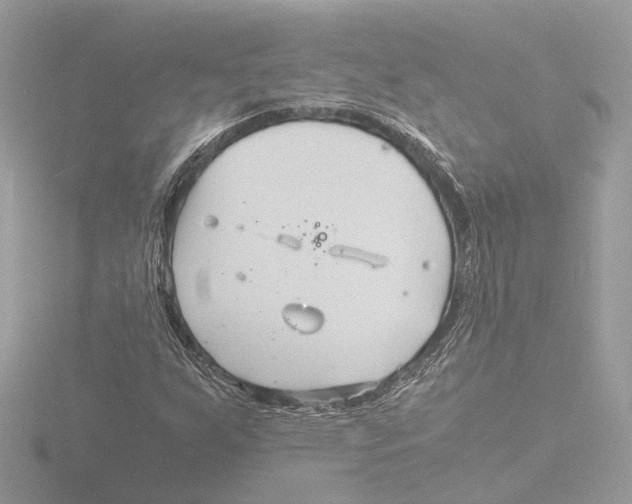 X0000116141255200912211441