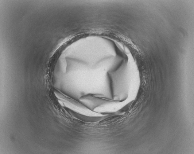 X0000116141256200912211441