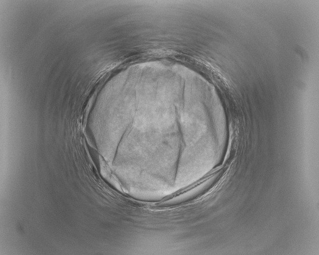 X0000116141257200912211441