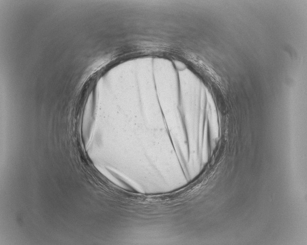 X0000116141261200912211441