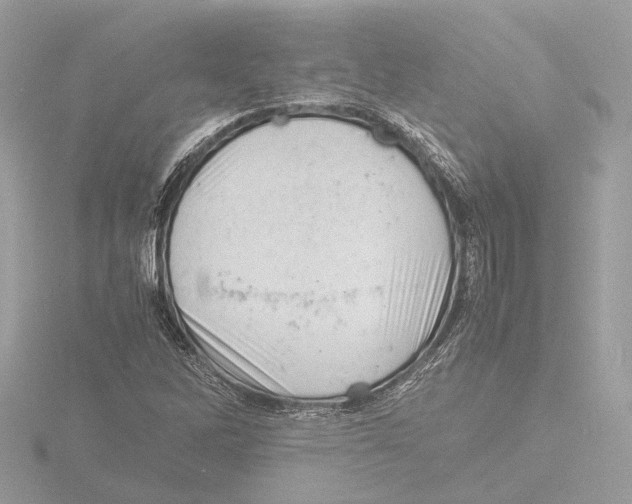 X0000116141262200912211441