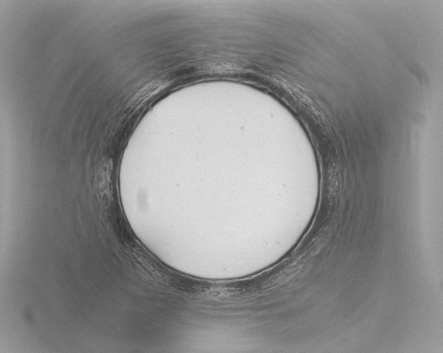 X0000116141265200912211441