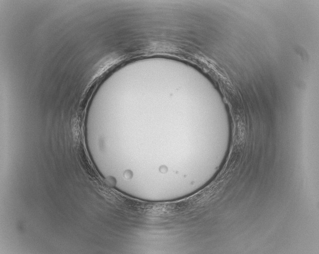 X0000116141266200912211441