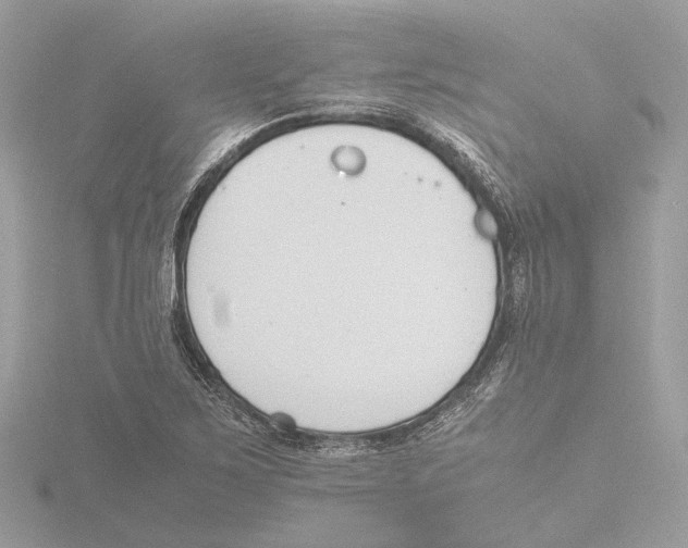 X0000116141267200912211441