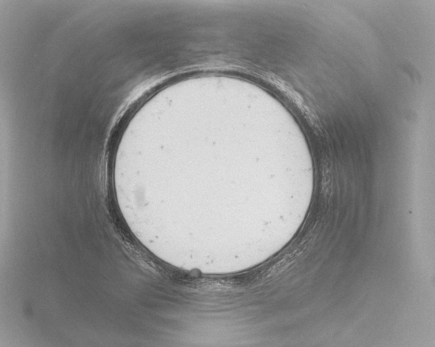 X0000116141270200912211441