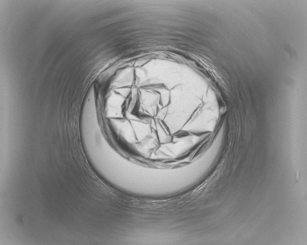 X0000116141273200912211441