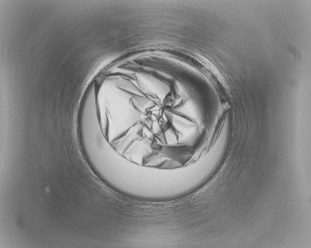 X0000116141277200912211441