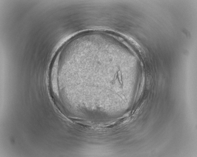 X0000116141279200912211441