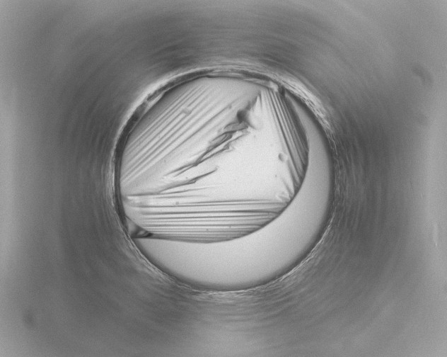 X0000116141280200912211441