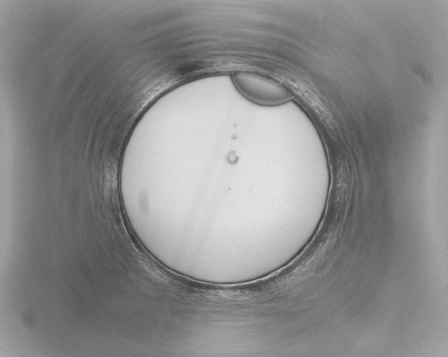 X0000116141281200912211441