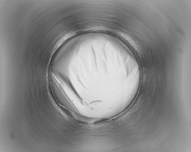 X0000116141282200912211441