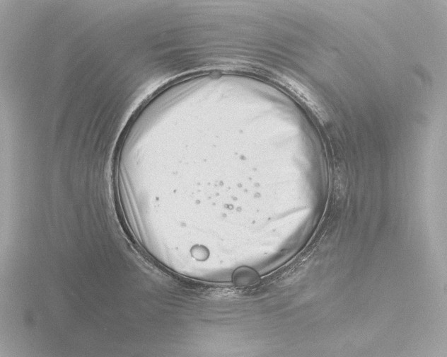 X0000116141283200912211441